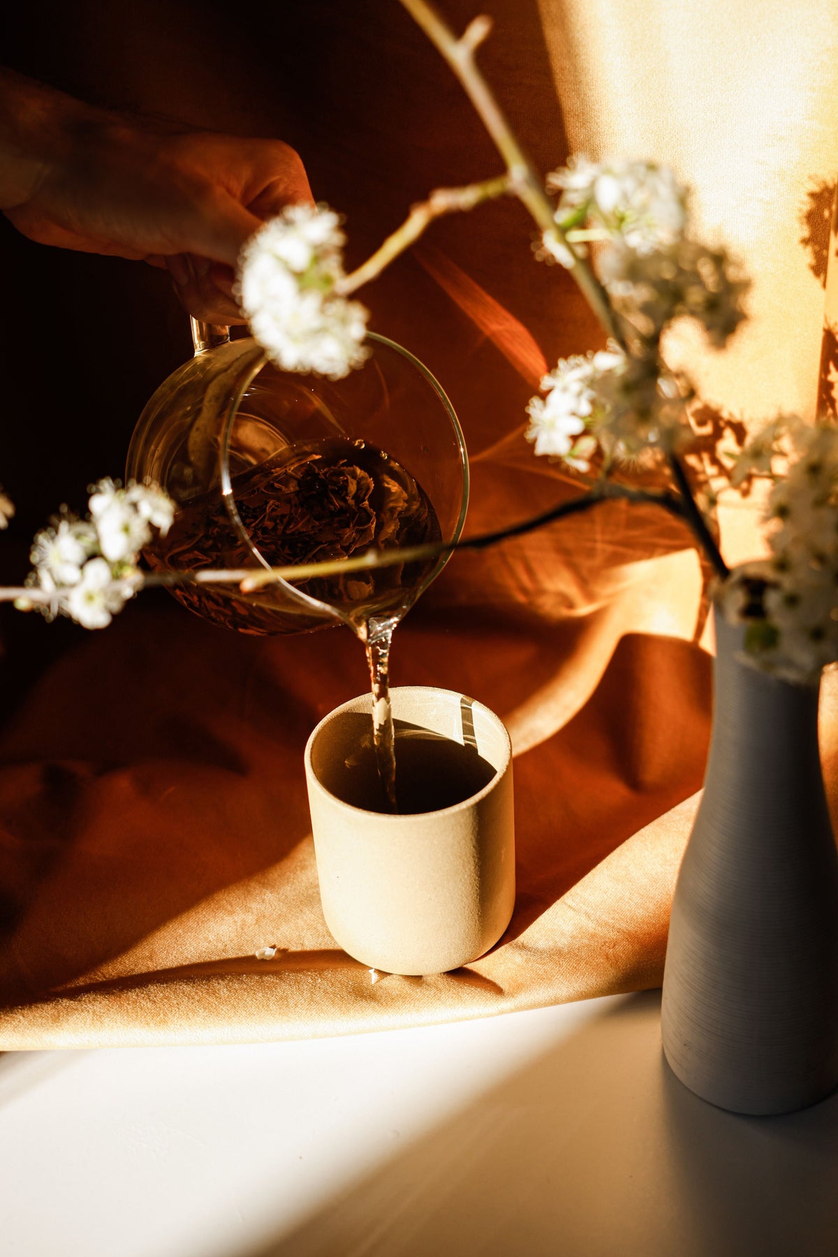 Tisane e Infusi