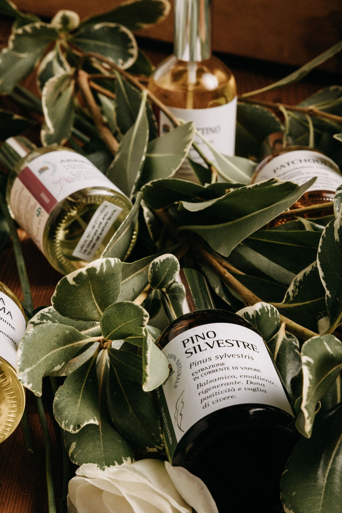 Profumi Botanici