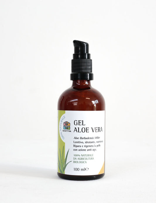 Gel Aloe Vera Puro -100ml